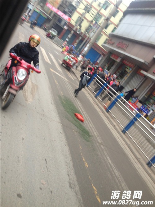 QQͼƬ20150113142203.jpg