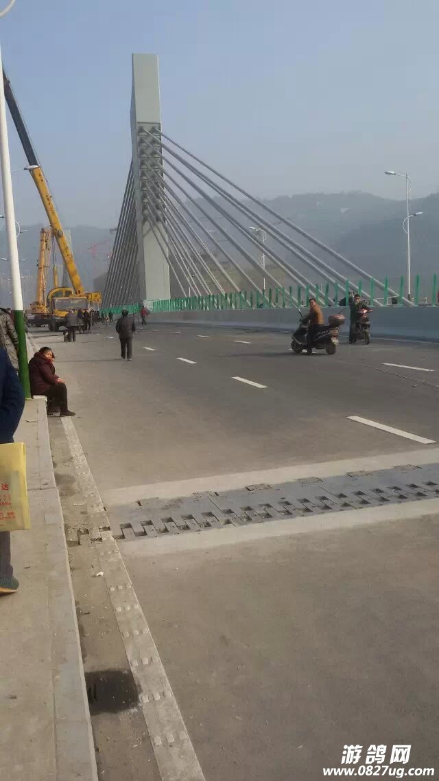 QQͼ20150113171855.jpg