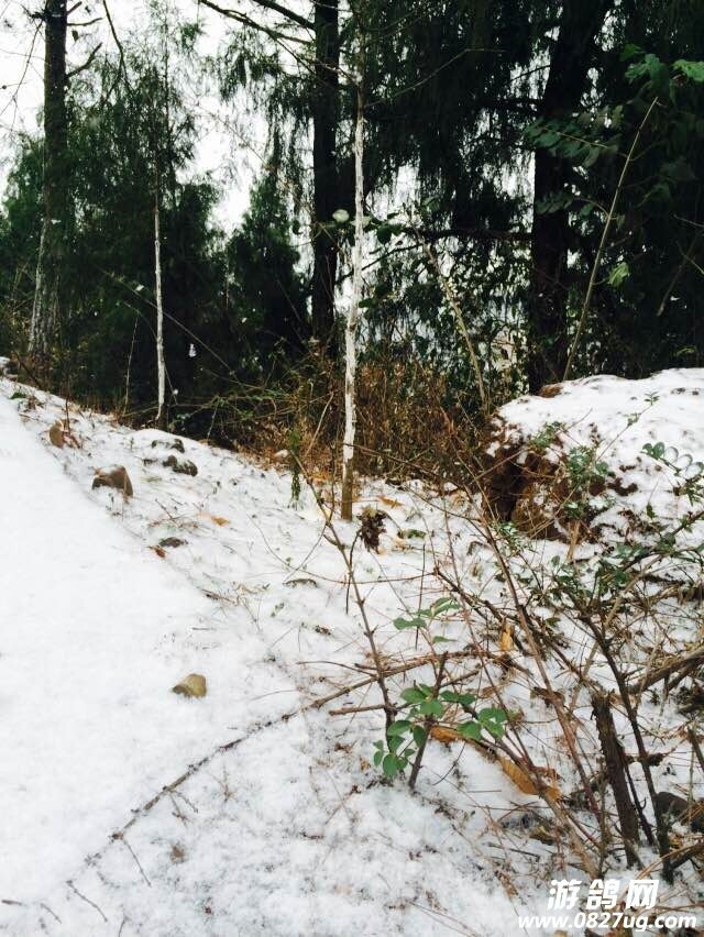 QQͼƬ20150129115850.jpg
