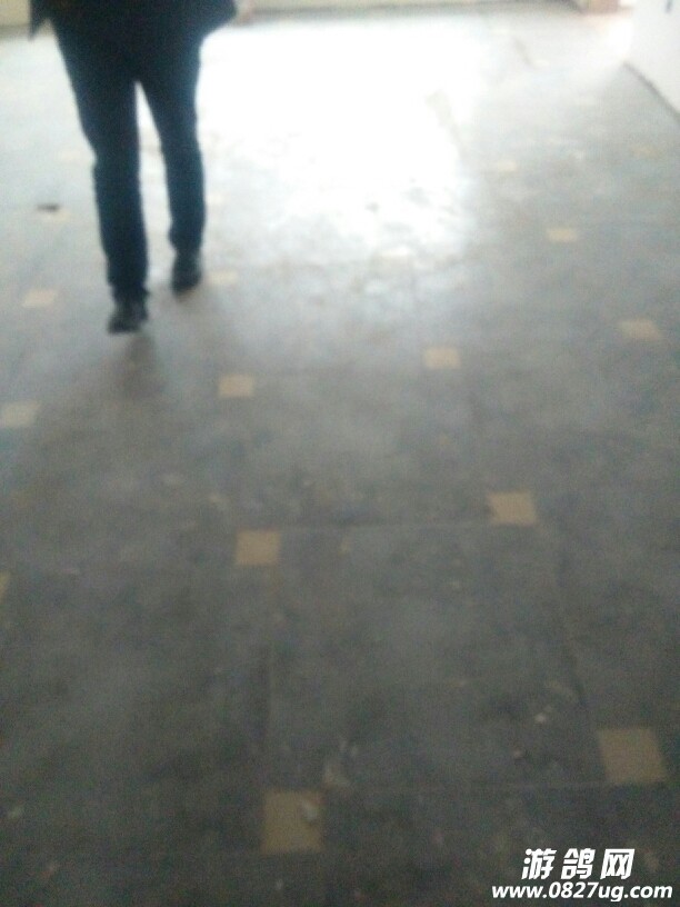 214831jb78sj8sjdjkjybd.jpg