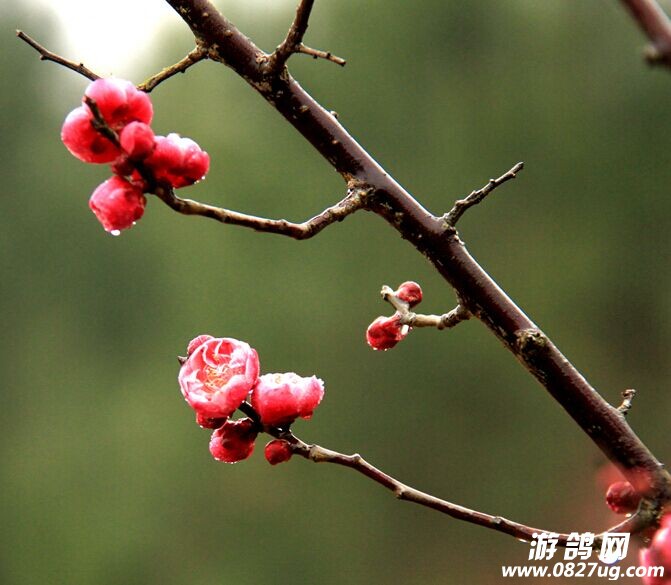 QQͼƬ20150202113003.jpg