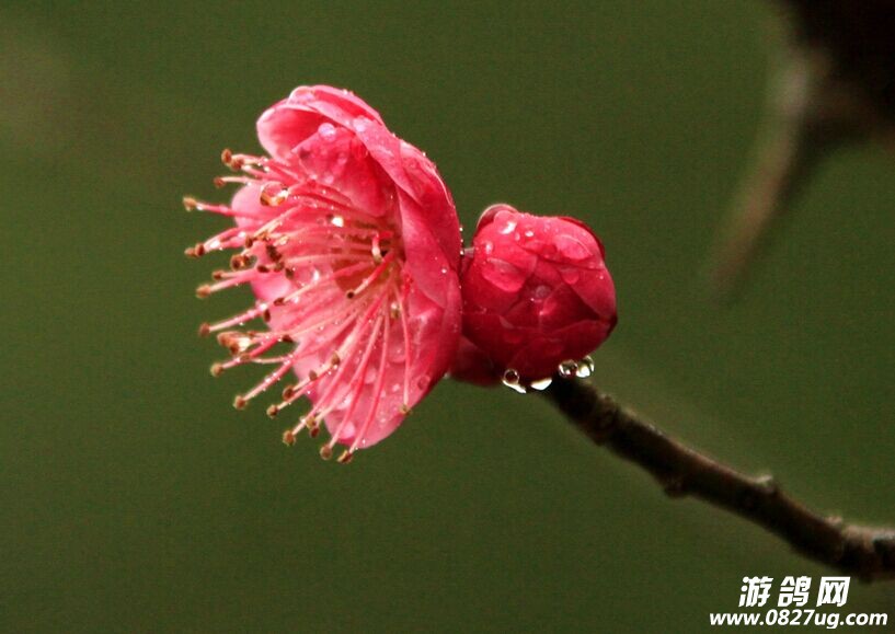 QQͼƬ20150202113214.jpg