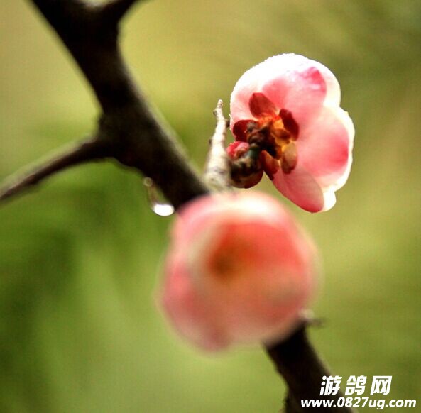 QQͼƬ20150202113701.jpg