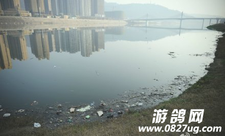 QQͼƬ20150213092950.png