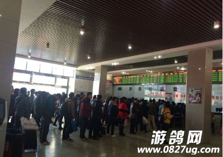 QQͼƬ20150213092909.png