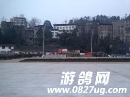 jpg
