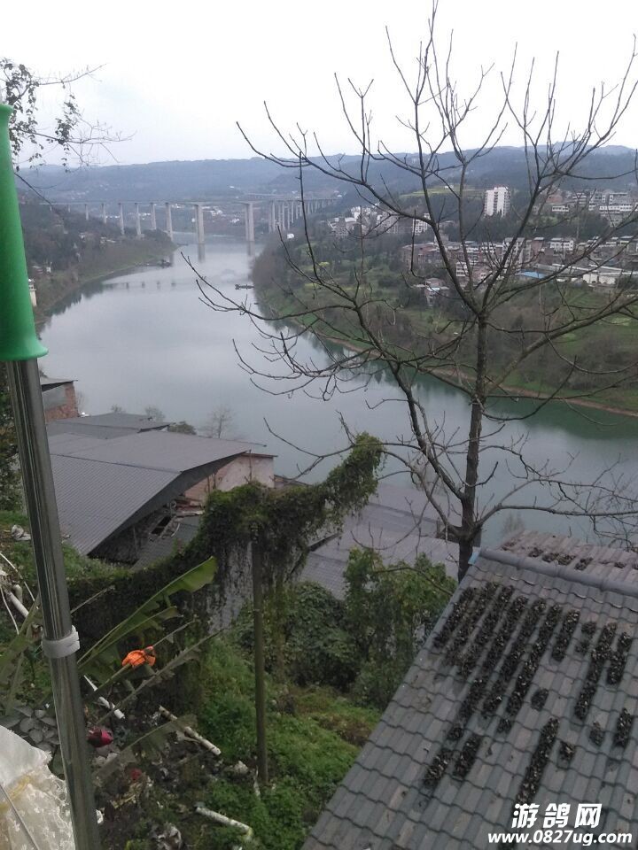 QQͼƬ20150228085350.jpg