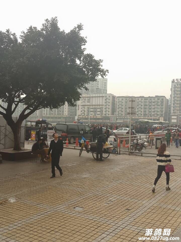 QQͼƬ20150311105824.jpg