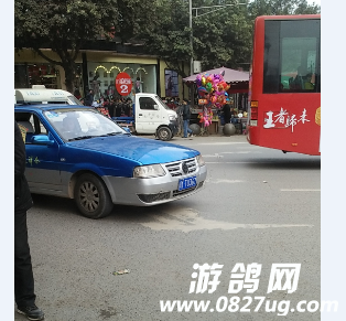 101154f3f5wpgi3v1hgl11.png
