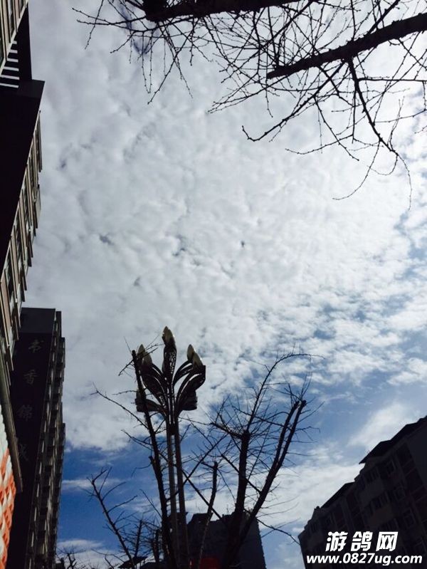 QQͼƬ20150318135957.jpg