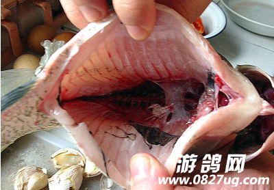 QQͼƬ20150318155329.png
