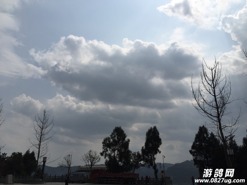 145423piz39n20rs200nqp.jpg