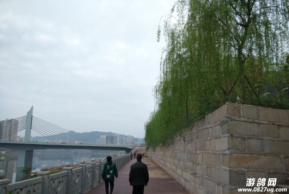 214535uvpnqh4dp1nvkzlj.jpg