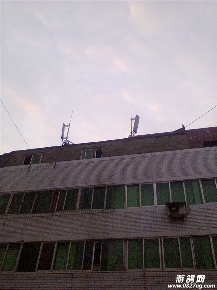 100856u13si3p3n3amd1um.jpg