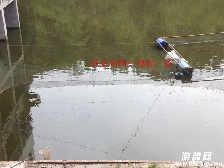 QQͼƬ20150403093735.jpg