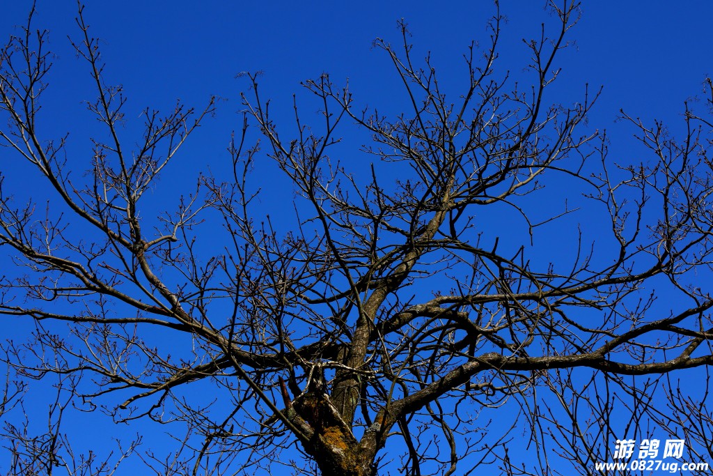 2015ž黨-116.JPG