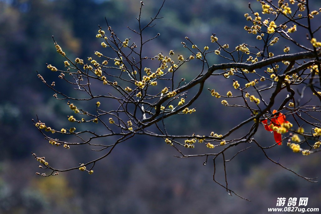 2015ž黨-075.JPG