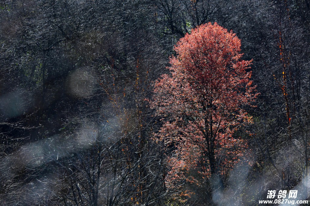 2015ž黨-055.JPG