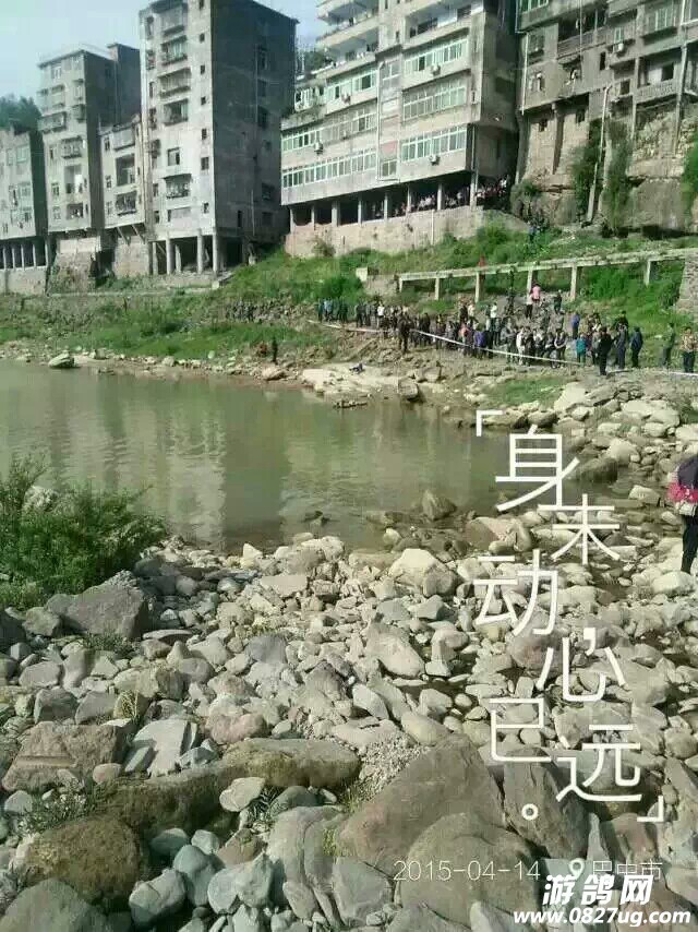 1429060088536.jpeg