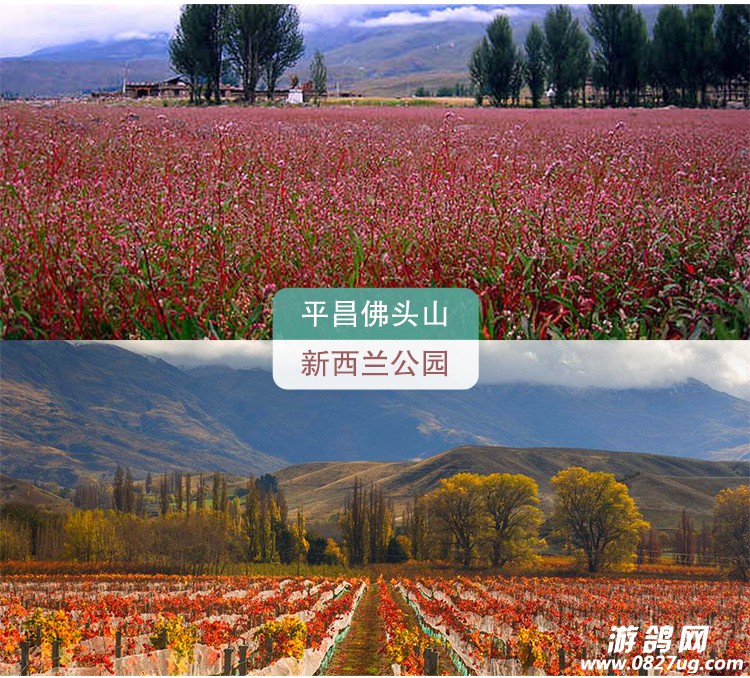 平昌_05.jpg