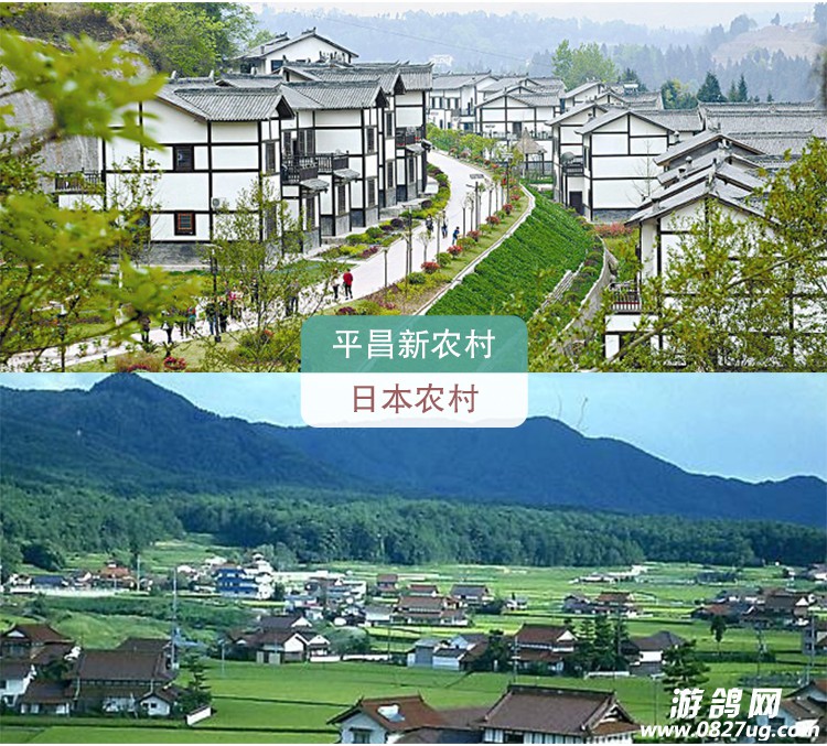 平昌_06.jpg