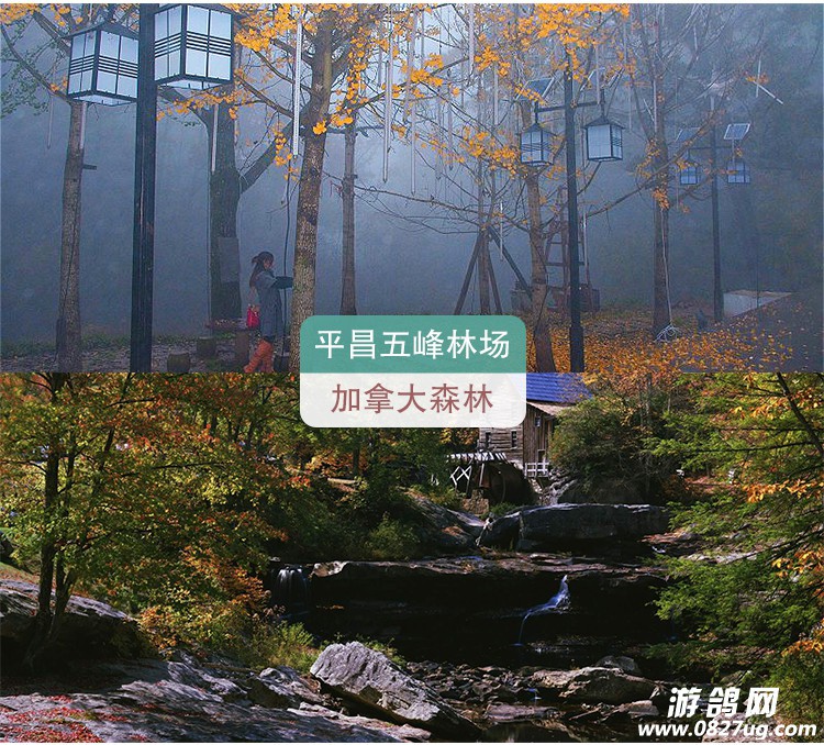 平昌_07.jpg
