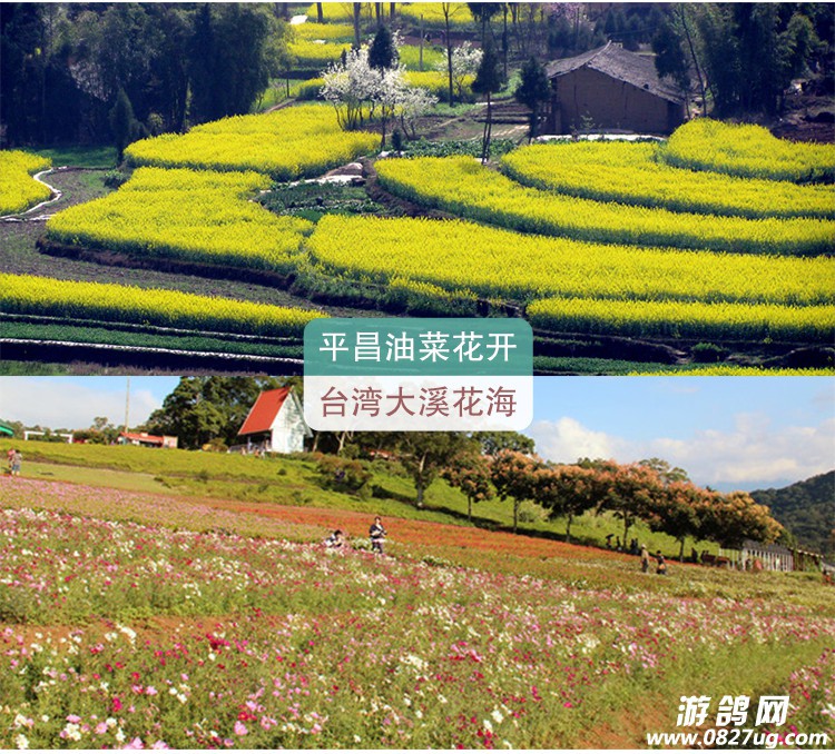 平昌_08.jpg