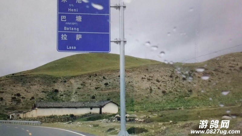 image.jpg