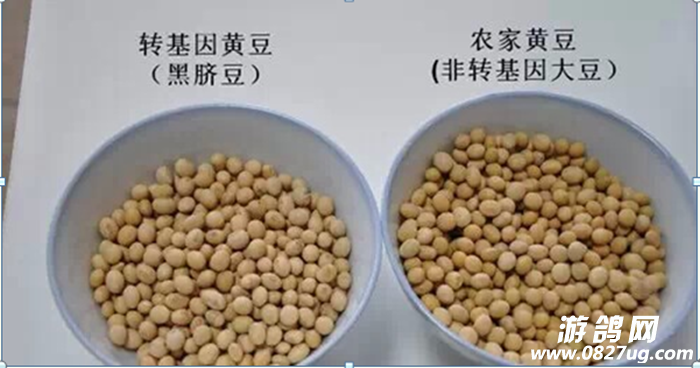 QQ图片20150420160618.png