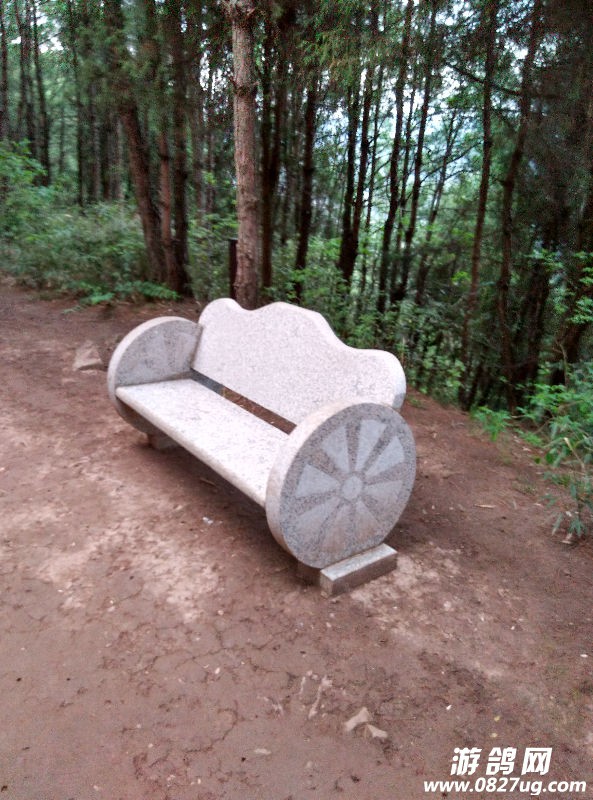 86979