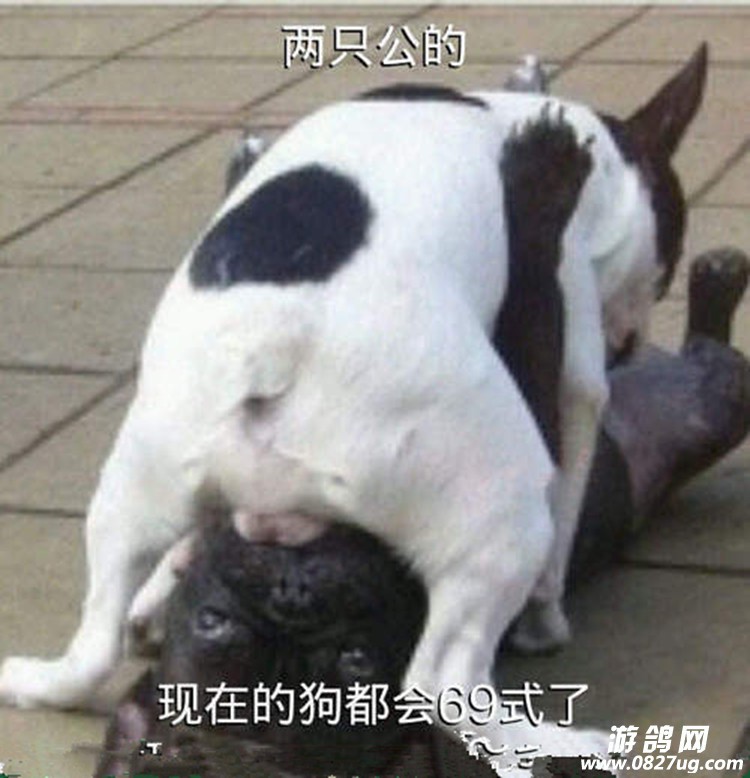 df7803abjw1e9h1gf7mzmj20dw0ef74w_副本.jpg