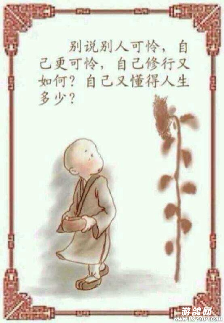 QQͼƬ20150516141833.jpg