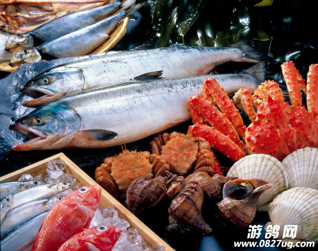 东都汇3.jpg
