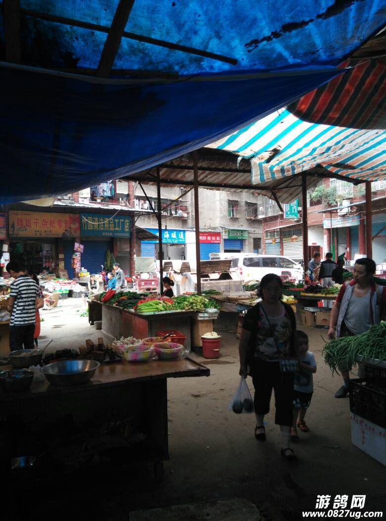 132012qhlz4sohla1hsc1l.jpg