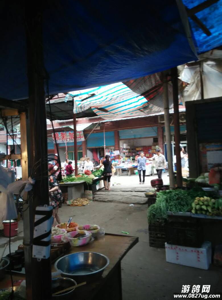 132052ofjk7ajaws5himda.jpg
