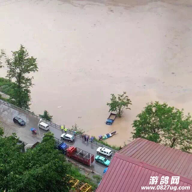 115352tj07pjozzp3f67o6.jpg