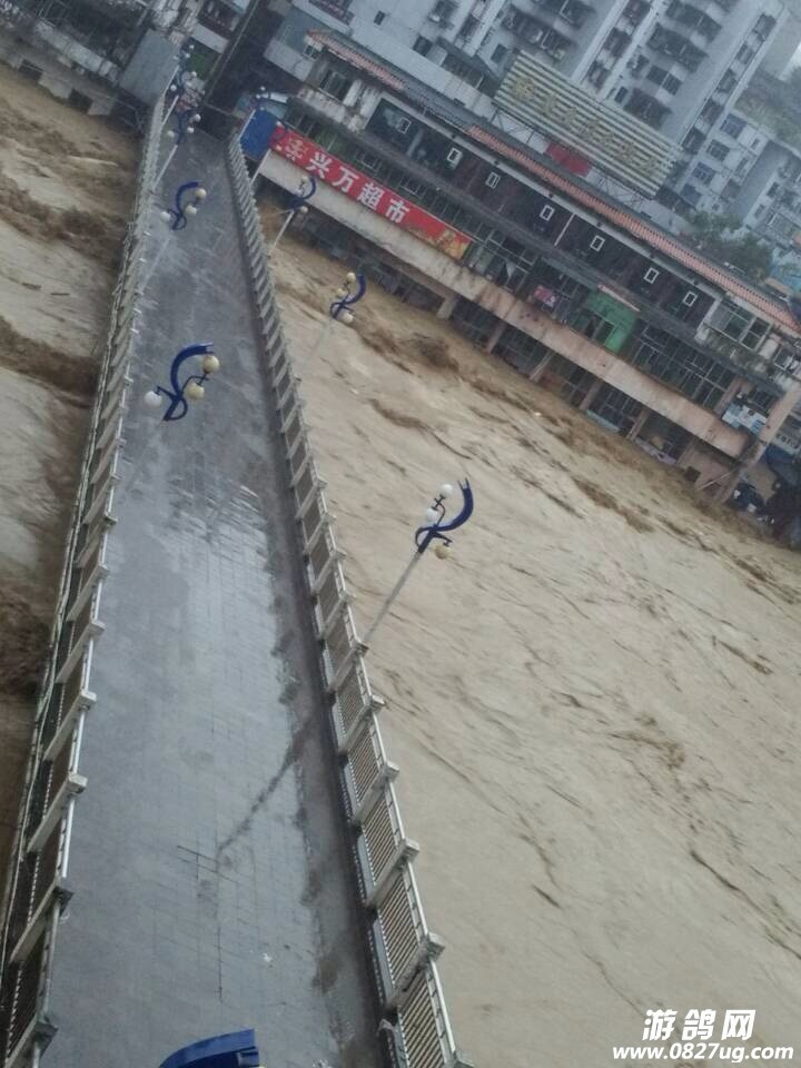 142628zqneuzueqyqneijq.jpg