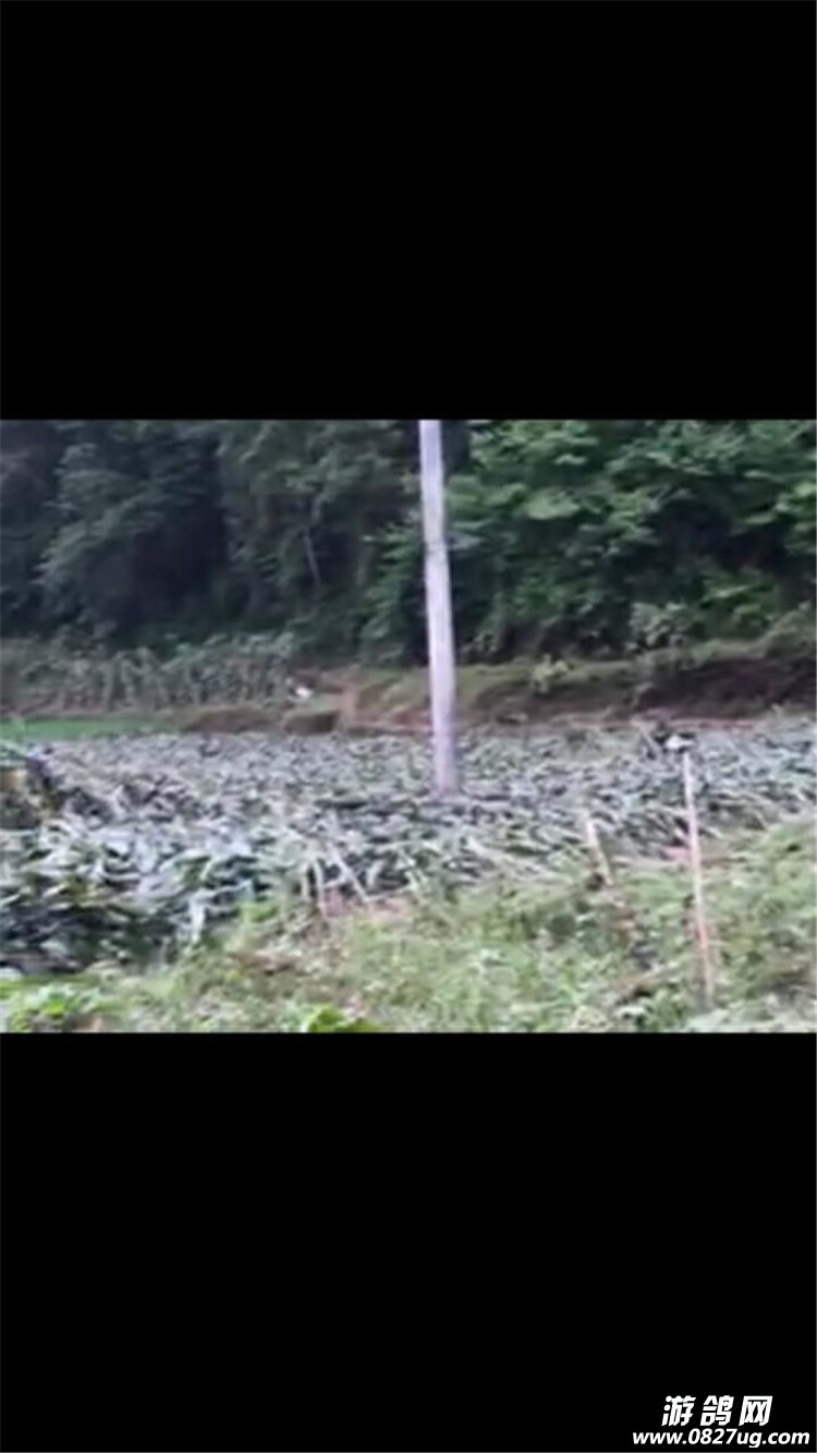 QQͼƬ20150629153323.jpg