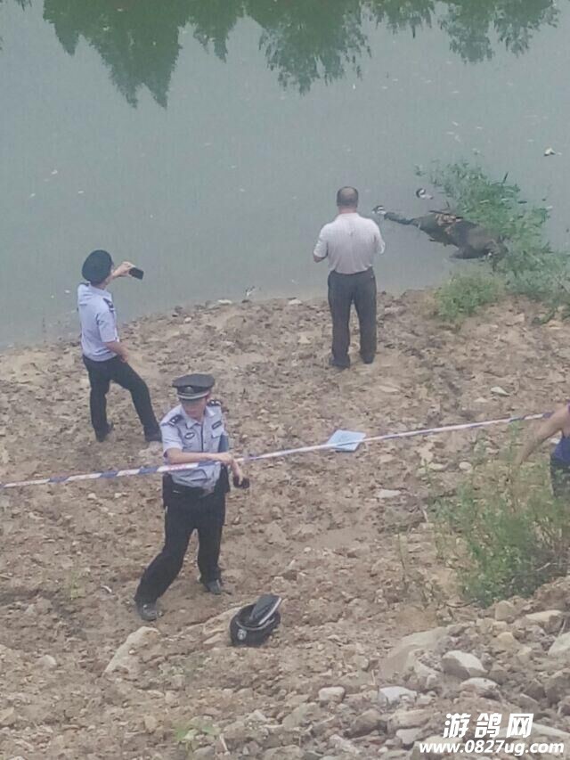 QQͼƬ20150721090906.jpg