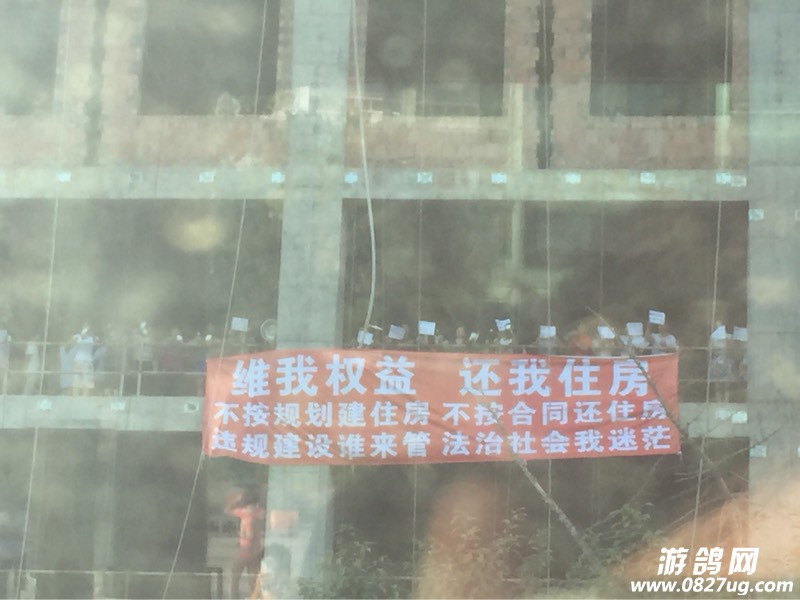 100106cn8gg68cqwcgz8ez.jpg