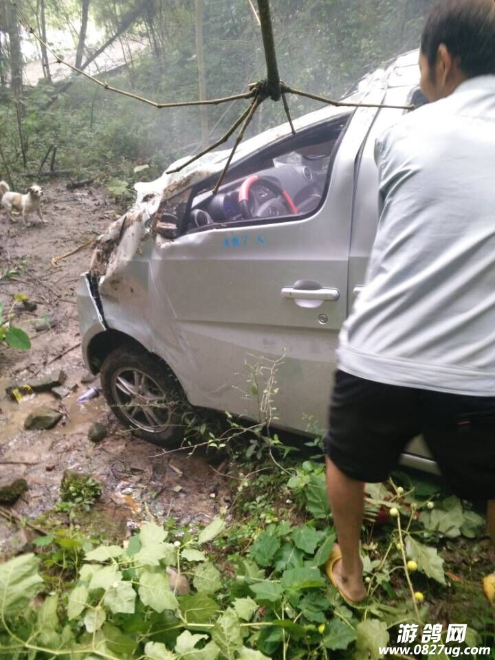 QQͼƬ20150820110212 - .jpg