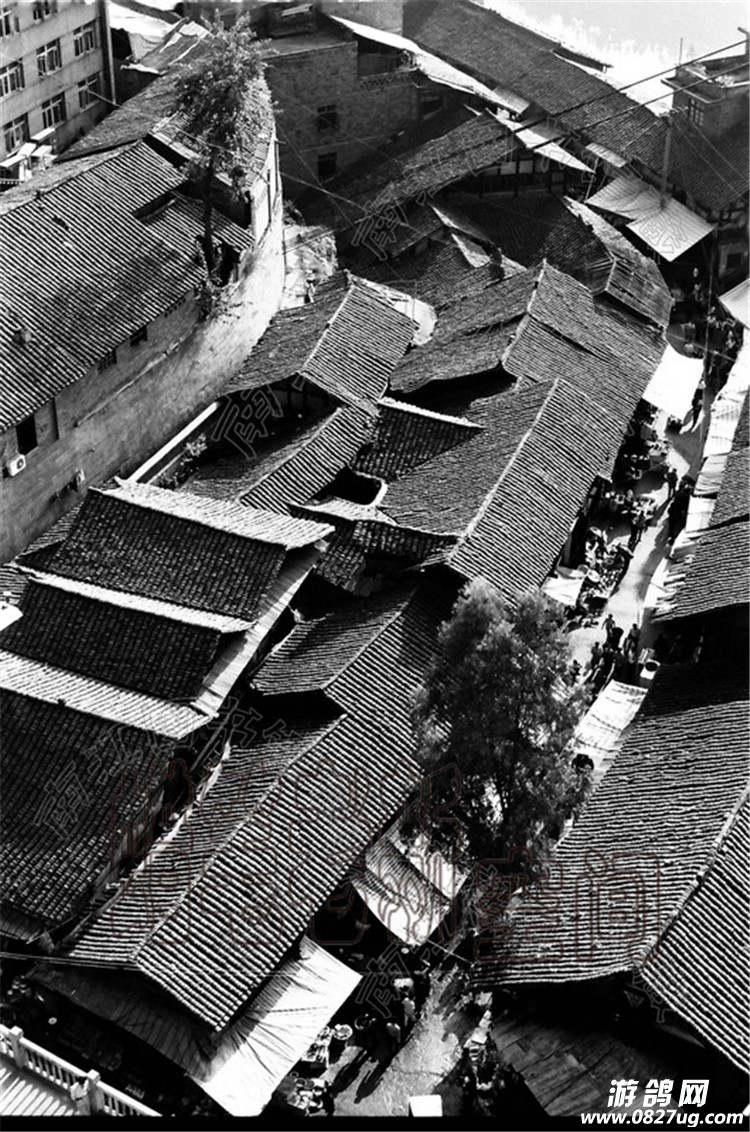 psb56756859.jpg