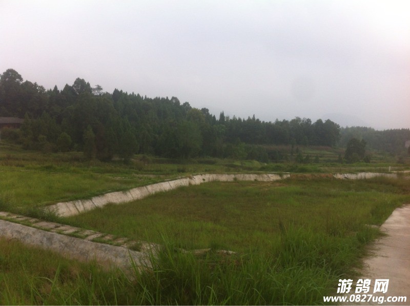 133135a8p4z358ssh3isrb.jpg