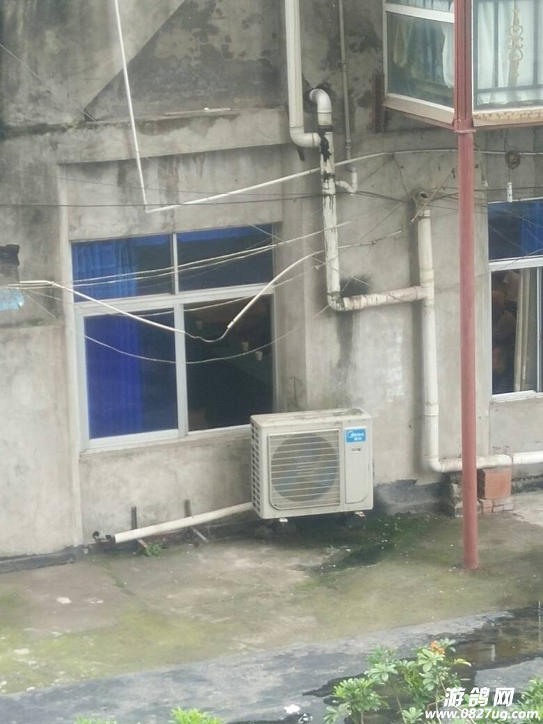 082151x8g2daau48iunn4d.jpg