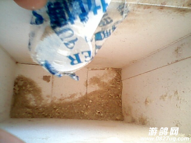 IMG0074A.jpg