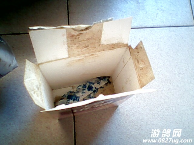 IMG0073A.jpg