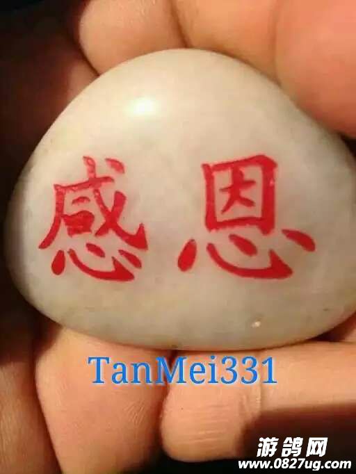 118759