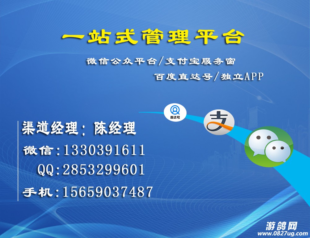 陈皓.jpg