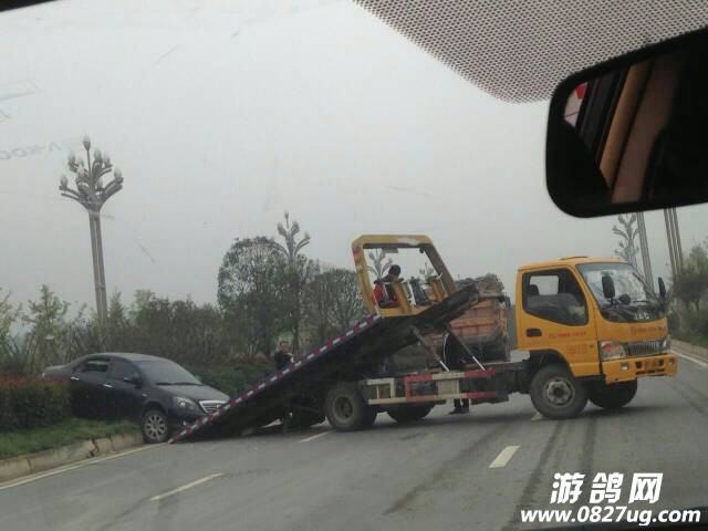 105707px111piduvn6sssc.jpg
