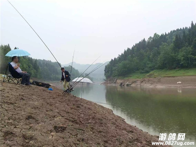 2C40E1AE-71DB-4ACD-B89B-59AEACC011E3.JPG